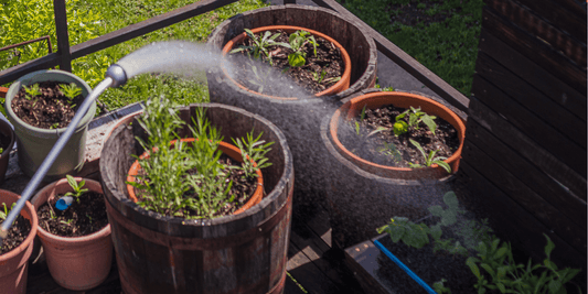 Watering garden plants