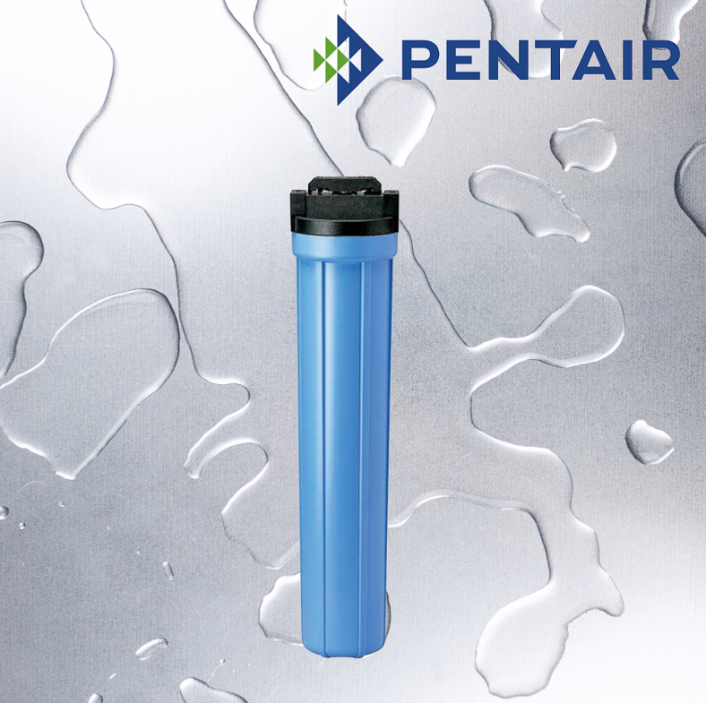 20" 3/4 inch BSP Pentair VIH Water Filter Housing