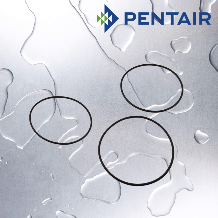 Pentair - PBH-ORING-EPDM : Big Blue Bag Housing O-ring EPDM