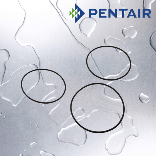 Pentair - PBH-ORING-EPDM : Big Blue Bag Housing O-ring EPDM