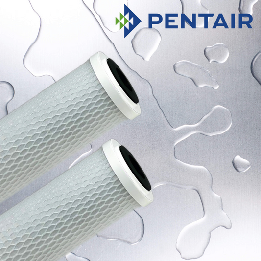 Pentair Carbon & Media Cartridges - CBC-10