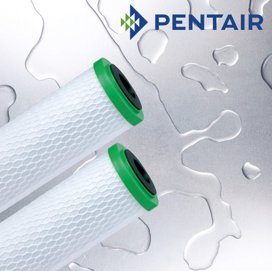 Pentair Carbon & Media Cartridges - CBR2-10