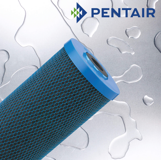 Pentair Carbon & Media Cartridges - CFB-Plus-20BB