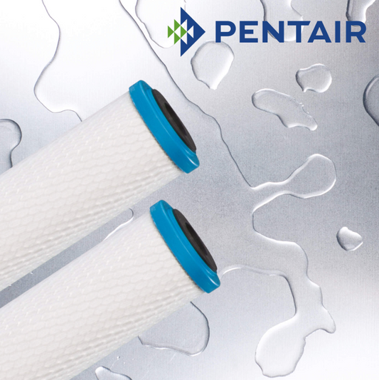 Pentair Carbon & Media Cartridges - ChlorPlus-20BB