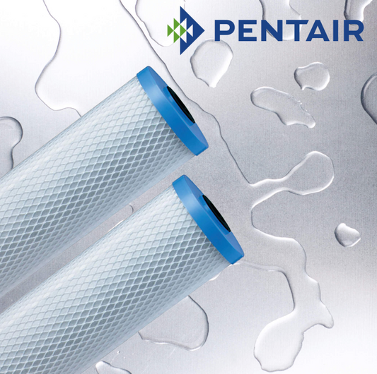 Pentair Carbon & Media Cartridges - EPM-20