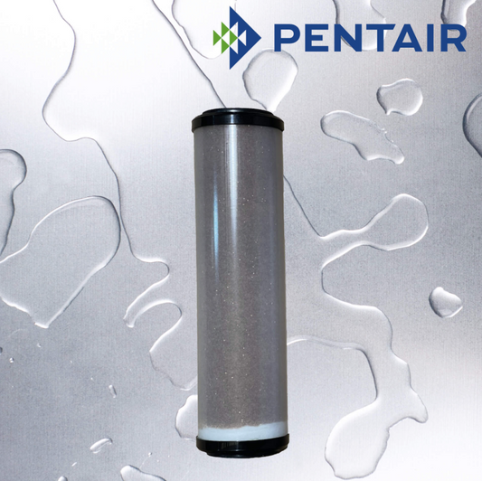 Pentair Carbon & Media Cartridges - PCF1-10MB