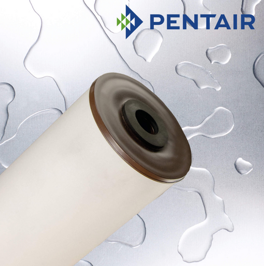 Pentair Carbon & Media Cartridges - RFFE20-BB