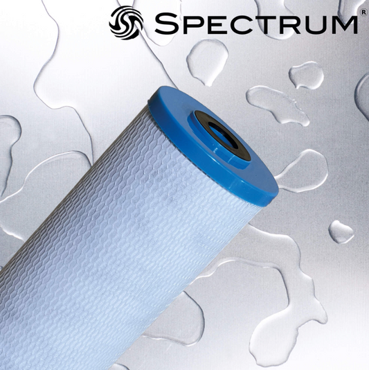 SPECTRUM Economic Carbon Block Carbon Cartridge - ECB-1-20LD