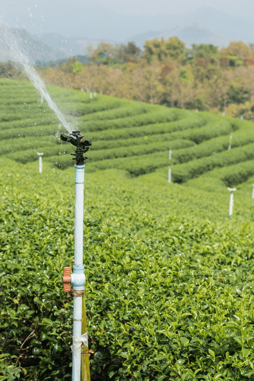 Potable water tank on an elevated concrete platform in a sunny outdoor setting.