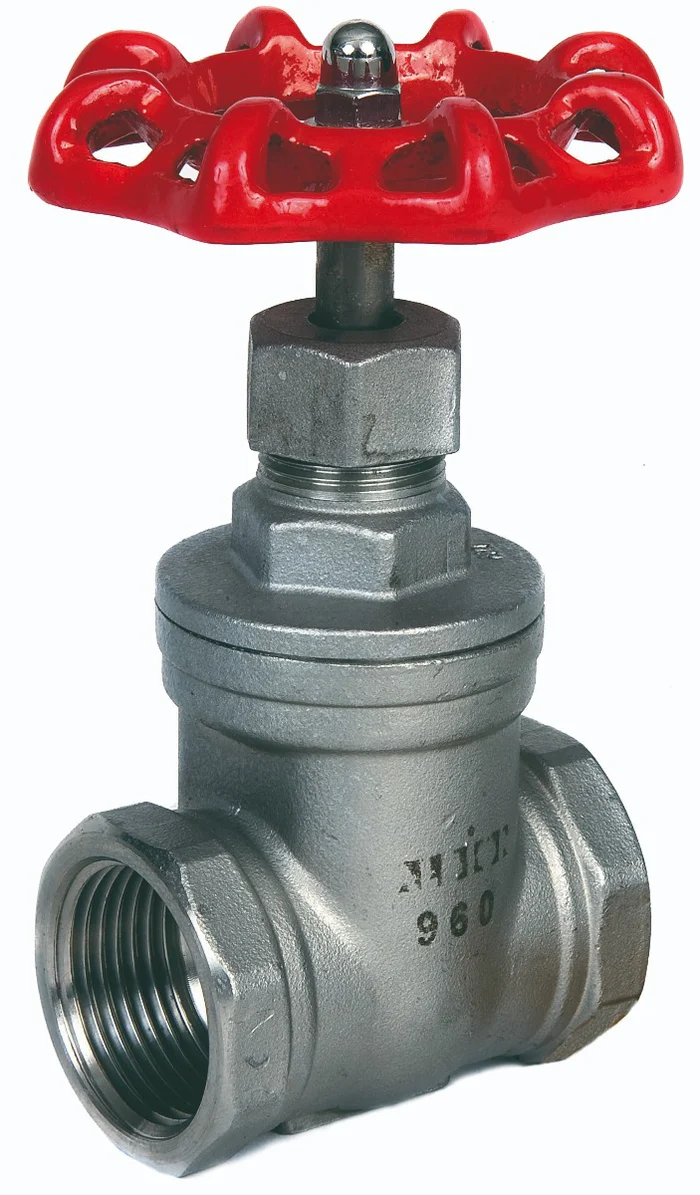 BSP SS316 Stainless Steel Gate Valve