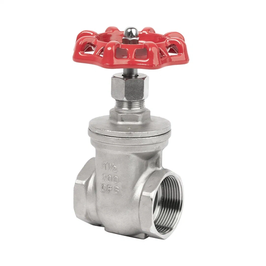 BSP SS316 Stainless Steel Gate Valve